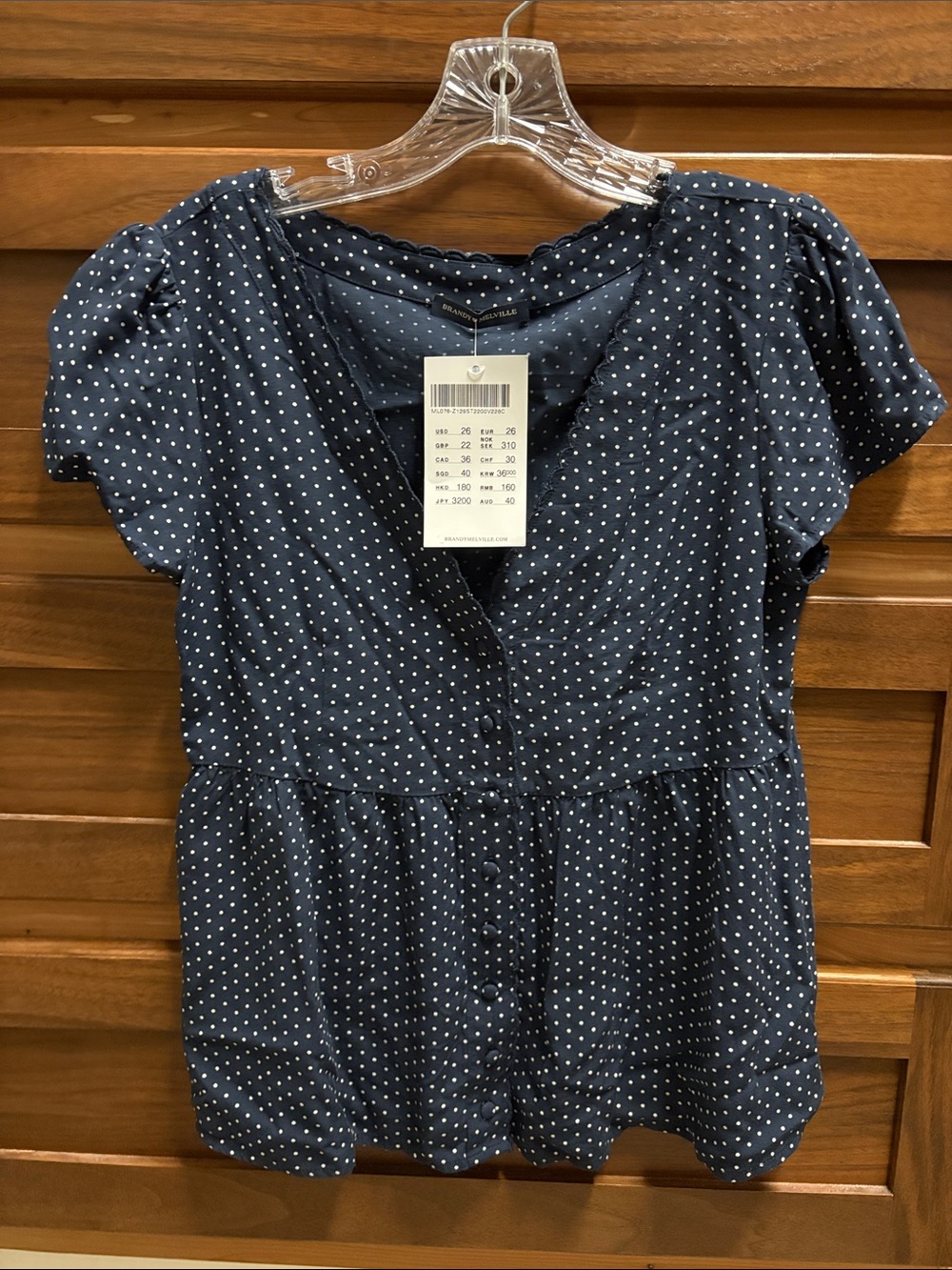 Brandy Melville NWT Blue Polka Dot Blouse